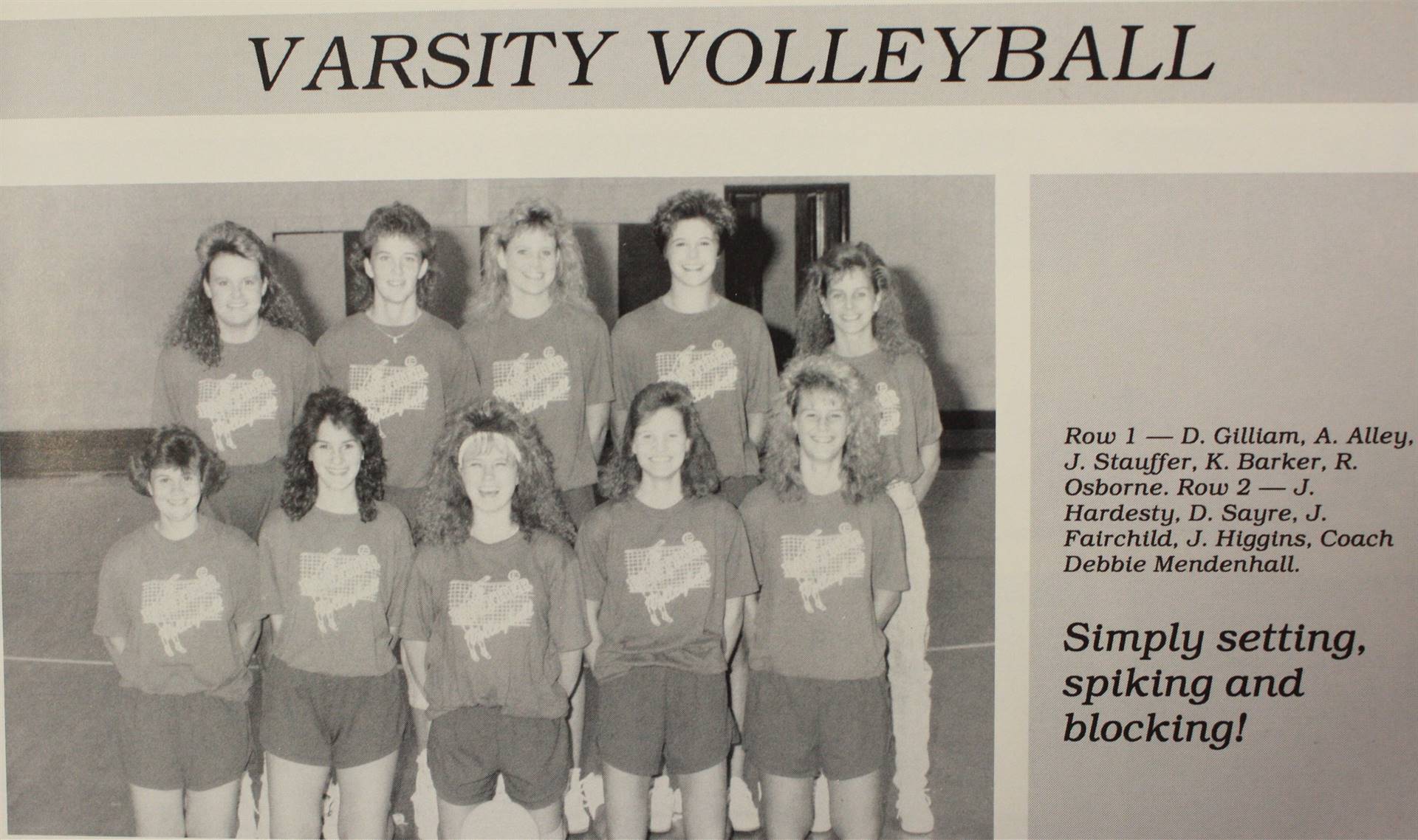 1991 Varsity Volleyball