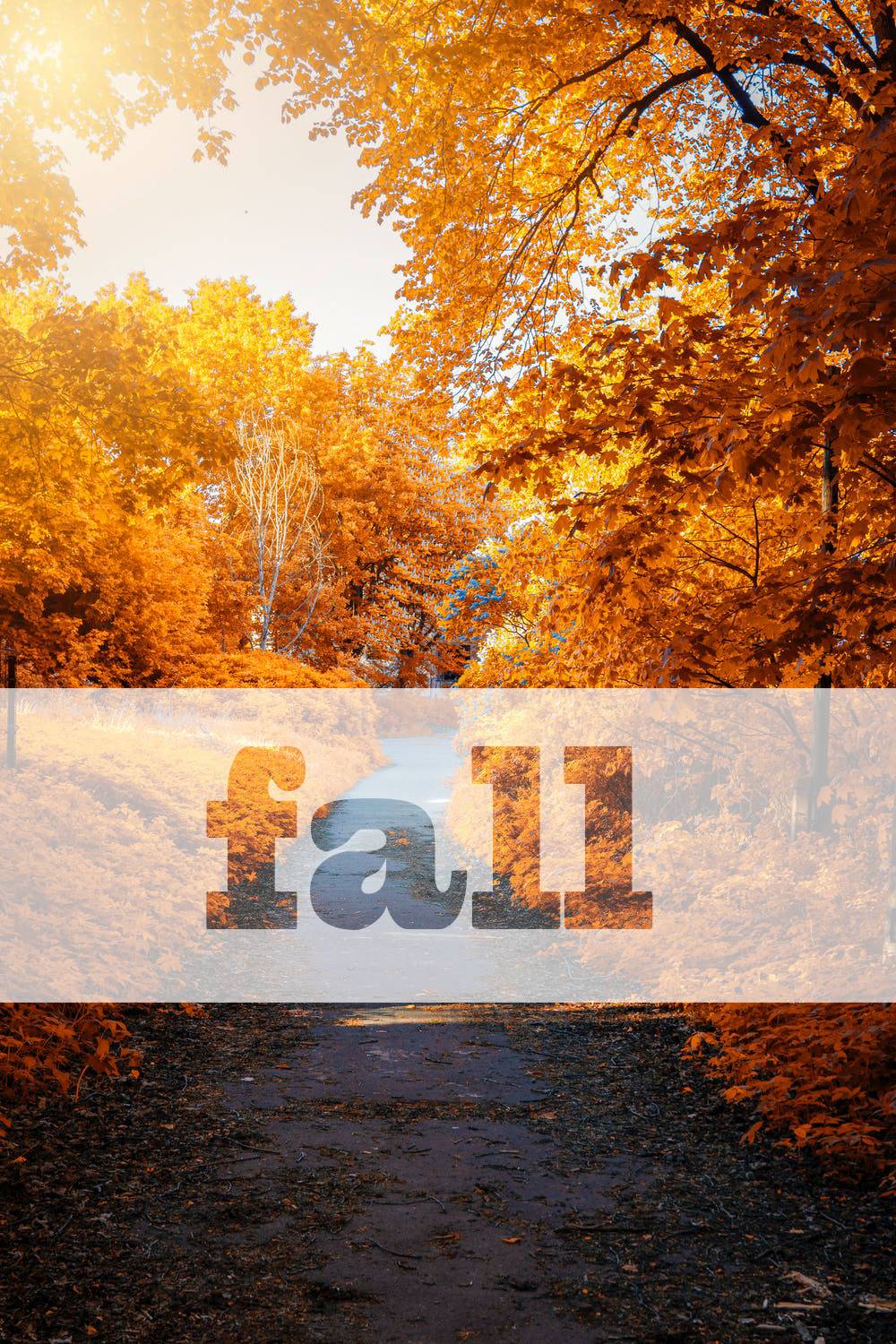 fall 